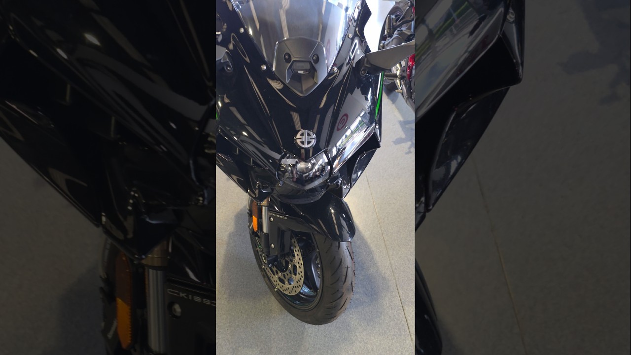 Kawasaki H2sx 2025 год. 