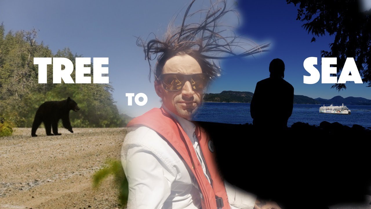 Велотуризм по острову Ванкувер | Круг от дерева к морю