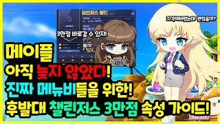 [메이플] 지금도 늦지 않았다?! 진짜 메뉴비들을 위한 ‍♀️ 지각 뉴비들의  챌린저스 3만점 달성을 위한 …