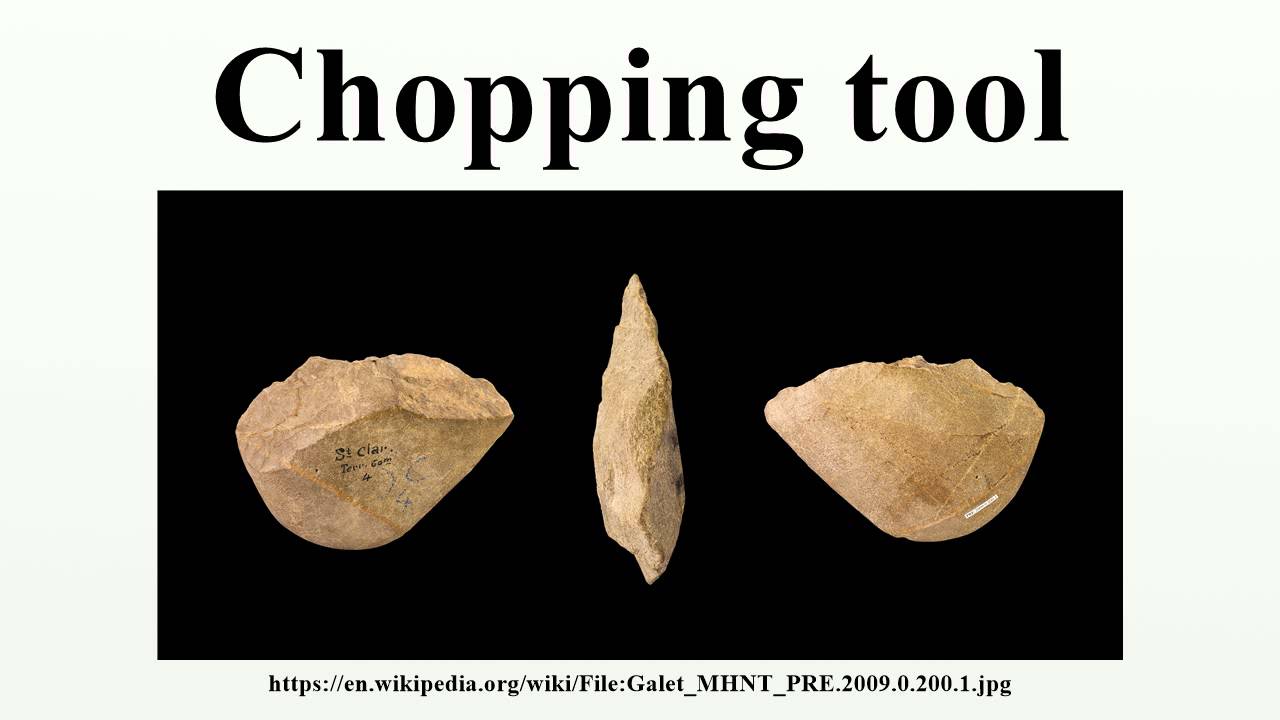 Stone Age chopper tool - Stock Image - C025/4398 - Science Photo Library