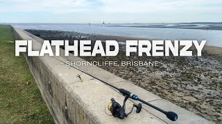 Flathead Frenzy with the Daiwa Bait Junkie Minnow - Shorncliffe, Brisbane