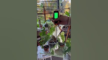 JL TESTER 75 4-in-1 Soil tester meter! Better care of flowers and plants. #soilphu #soiltester