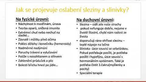 Co jsou vhodné potraviny pro slezinu?