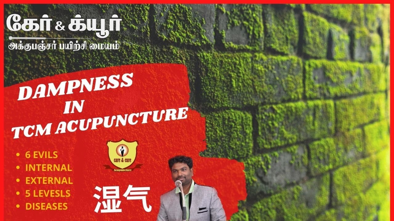 UTERUS CYST IN TCM / UTERUS FIBROIDS IN TCM/ARTHRITIS IN TCM DAMPNESS IN TCM/ DAMP HEAT