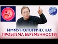 Иммунология беременности и иммунологическая проблема беременности. Рассказывает Гузов И.И.