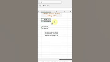 Show Leading zeros using formatting in numbers