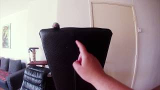 Кот балуется на стуле