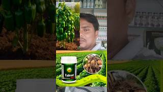 amino acid ka kamal Paidabade dugni karne ki dhamal|talent amino acid|amino acids#shortvideo#talent