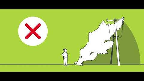 Tree safety is an important consideration around power lines