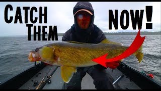 Jig Fishing For Fall Walleyes