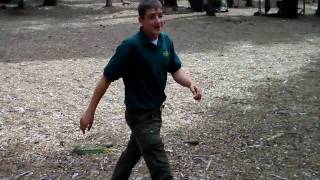 Guy does a backflip off a tree HD