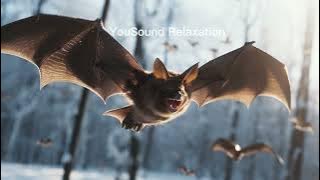 8 hours Repellent Anti Bats Sound | Ultrasonic Sound | Get Rid Of Bats | High Frequency | No Bats