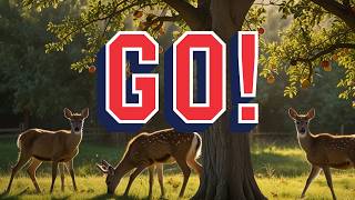 Simple Tricks to Keep Deer Away from Your Plants Use This Household Item To Keep Deer Away From Your Flowers