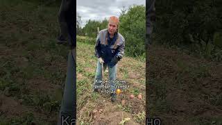 Как экологично приобщить зумера к труду