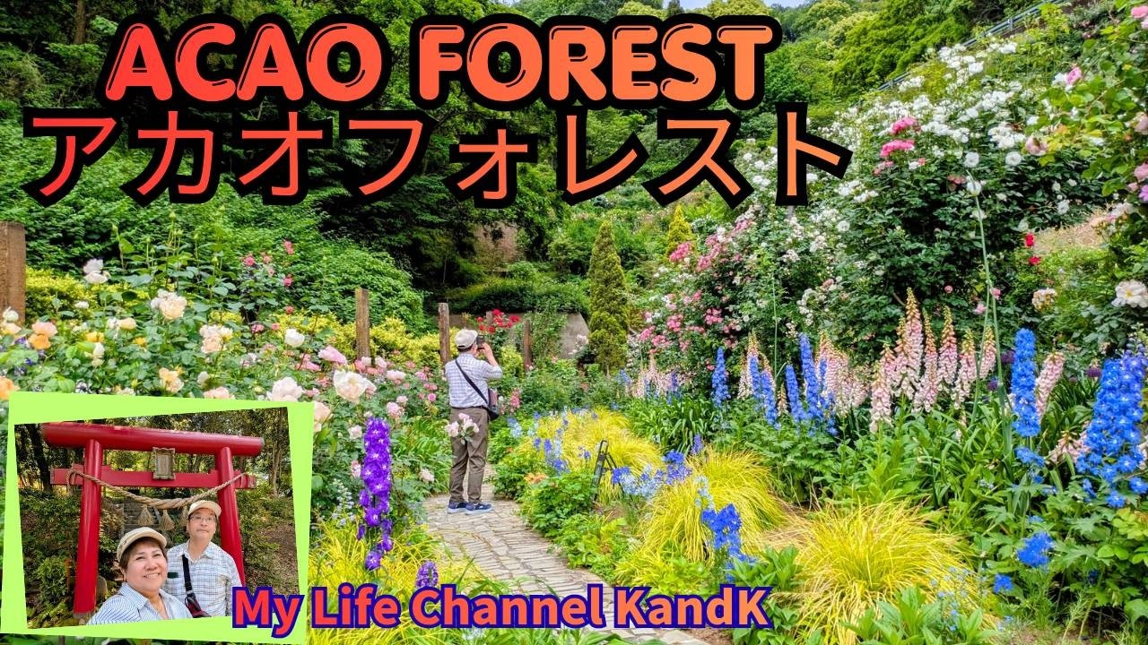 Atami Tour Part Two ACAO FOREST