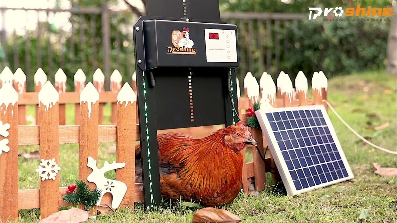 Proshine Automatic Chicken Coop Door YouTube