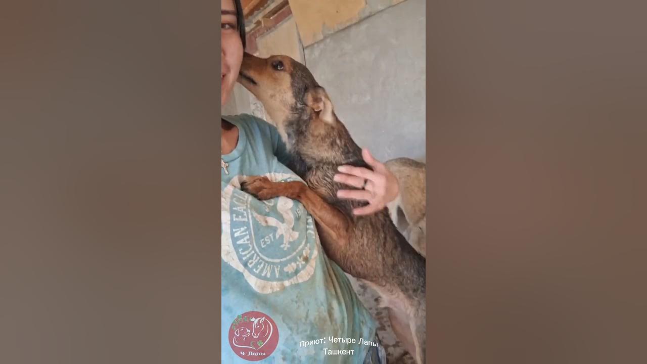 Знаешь так хочется жить картинки. Стихи жить хочется. Хочется жить среди кедров в маленьком. Ты знаешь так хочется жить текст. Хочется жить среди кедров в маленьком.