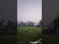 രാവിലത്തെ മഞ്ഞ്#nature#morningpositivity#love#life#god#youtube#india