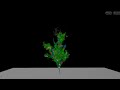 Flora growth rnd #houdini #cg #3d