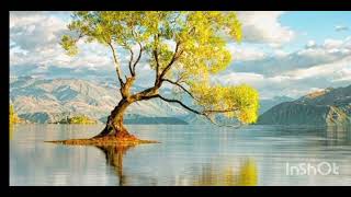 Bi̇lmem Neden Terk Eylemi̇ş - Hüzünlü Türküakustik