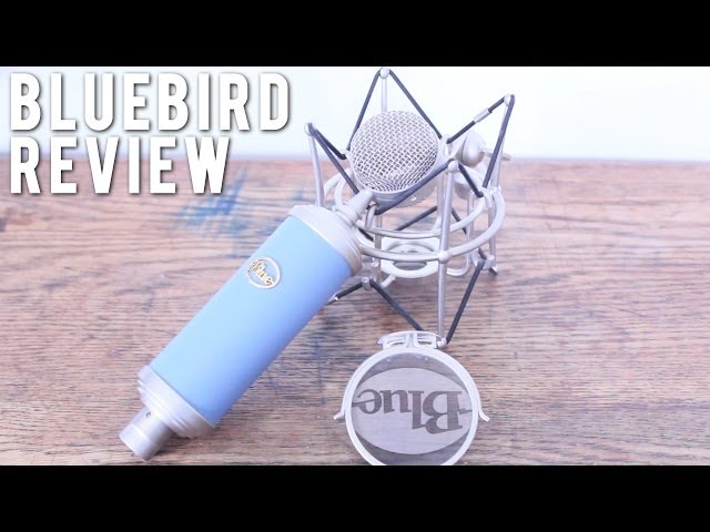 Blue BlueBird Microphone Review - YouTube