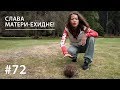 СЛАВА МАТЕРИ-ЕХИДНЕ! // Всё как у зверей #72