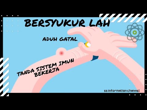 Bagaimana sistem imun bekerja?