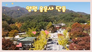 [양평군] 용문사 가을 풍경 (제4기 SNS 서포터즈 최형석)