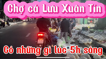 Chợ Cá cảnh Lưu Xuân Tín - Sài Gòn. Cùng khám phá xem hiện nay có cá gì nhé