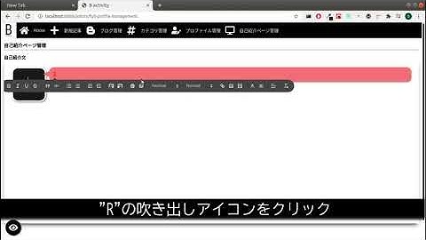 How To Use My Custom Bubble Speech (Reactjs and Quill)