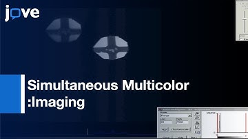 Biological Structures With Fluorescence Photoactivation Localization Microscopy l Protocol Preview