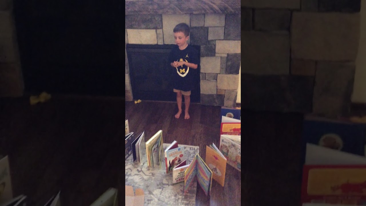 The longest books dominoes we&rsquo;ve ever made