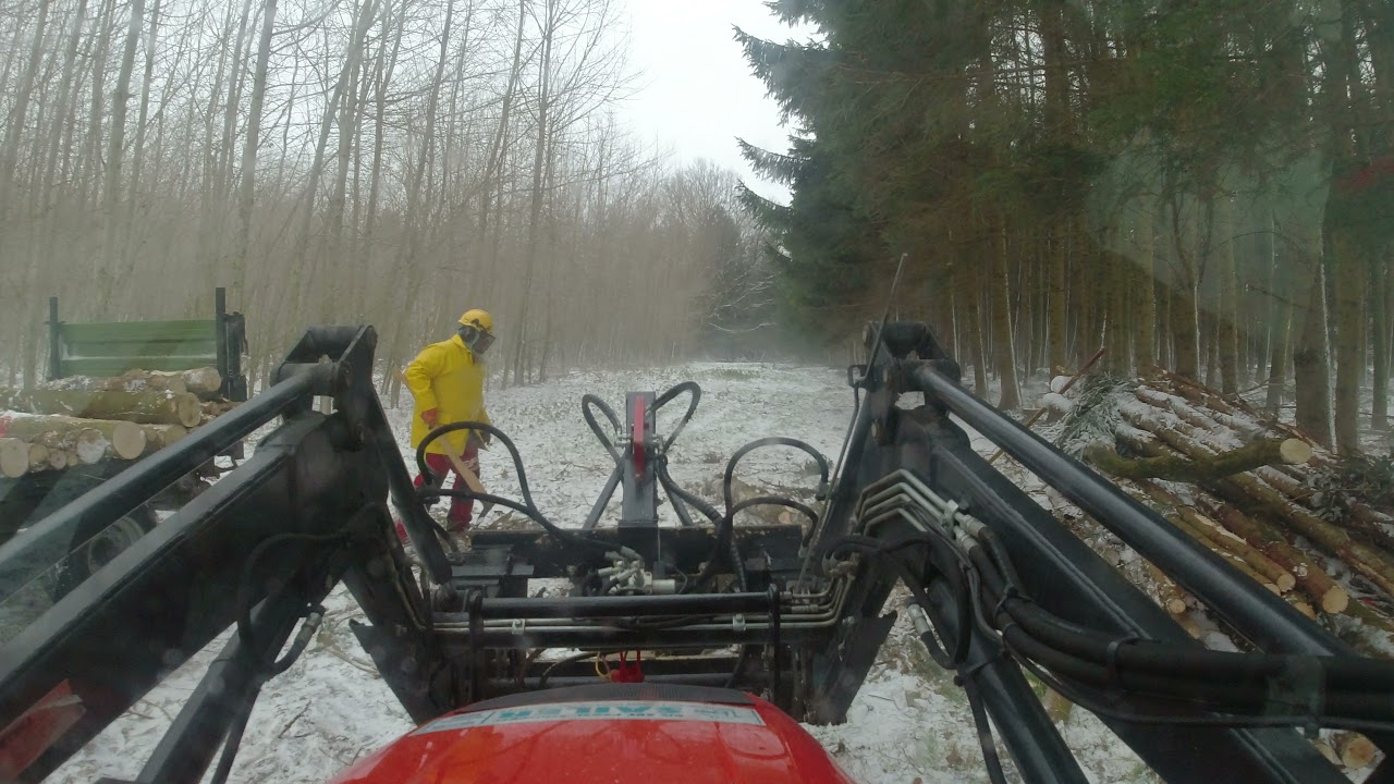 Holz laden, mit Frontlader.