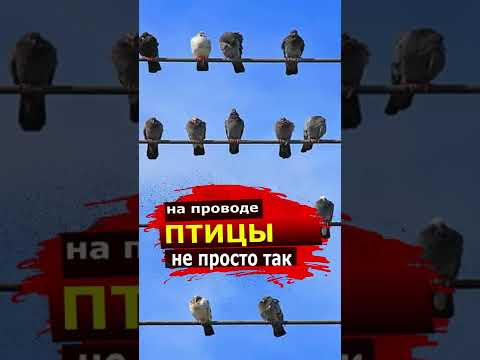 В ШОКЕ БУДУТ