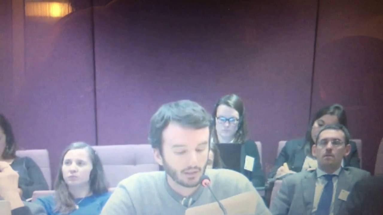 Ana Romero de RedGE en el marco de Audiencia por seguimiento del TLC UE - YouTube