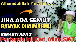 MASYA ALLAH !! Jika Banyak Semut Dirumahmu, Selamat Akan Ada Keajaiban Padamu