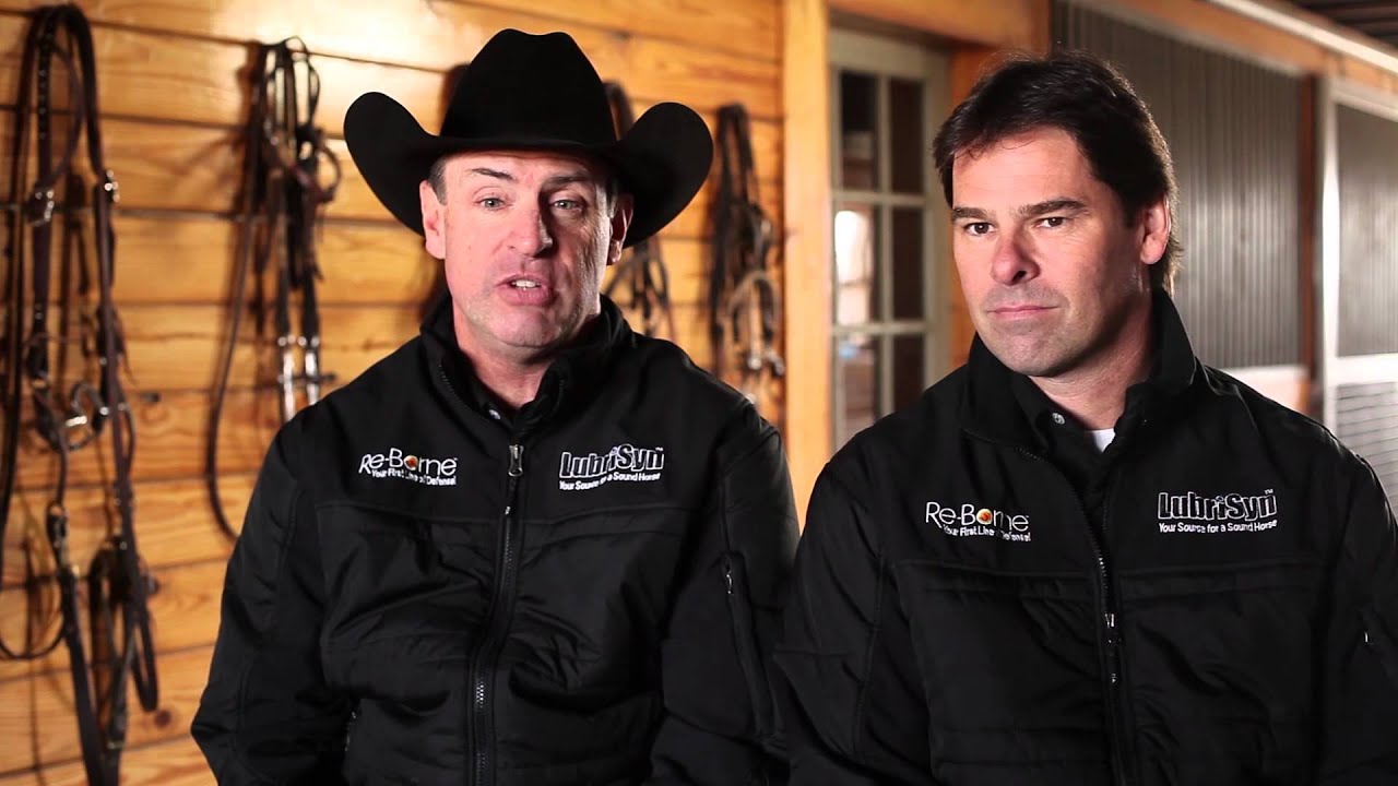 What's Wrong With My Horse - Allergies