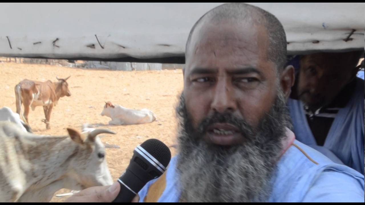 الطينطان..الغرق فساداً