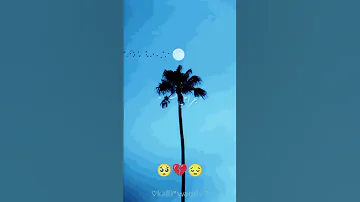 حالات واتس عصام صاصا مهرجانات عيني مدمعه من كتر مااتازيت جراحي مسمعه 