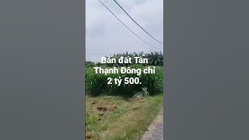 🍁 Bán đất xã Tân Thạnh Đông, Củ Chi, dt 191,3m2, giá 2 tỷ 500. ☎: 0902 660617 zalo - Loan