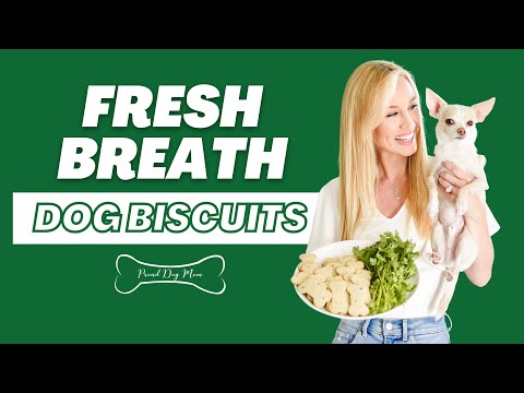 Video: Lợi ích của một chế độ ăn uống không hạt cho chó của bạn