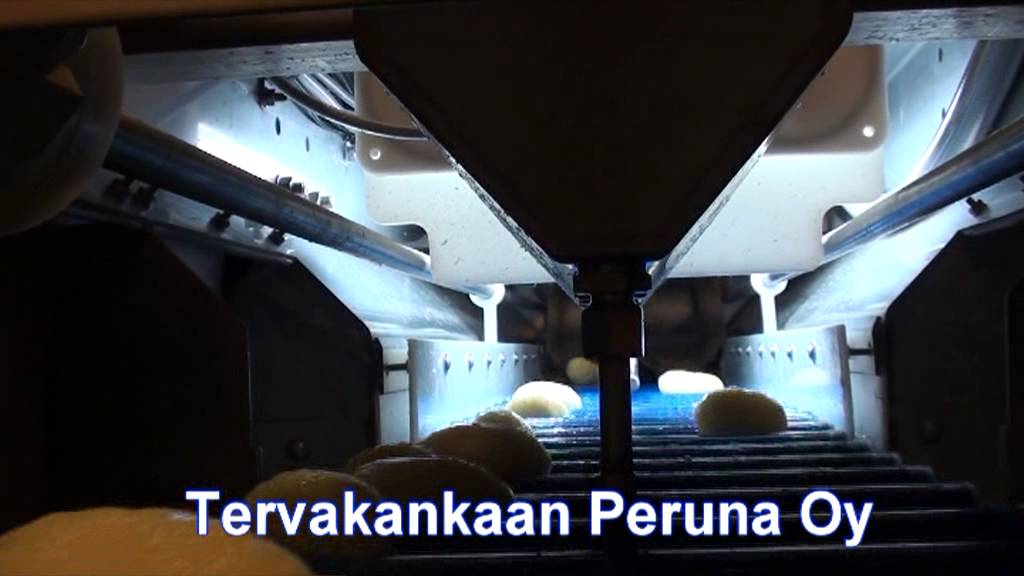 New WECTORSCAN  JUDGE In Action