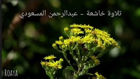 🎧 ما لكم إذا قيل لكم انفروا في سبيل الله اثاقلتم؟ 💔 | تلاوة خاشعة – عبدالرحمن المسعودي