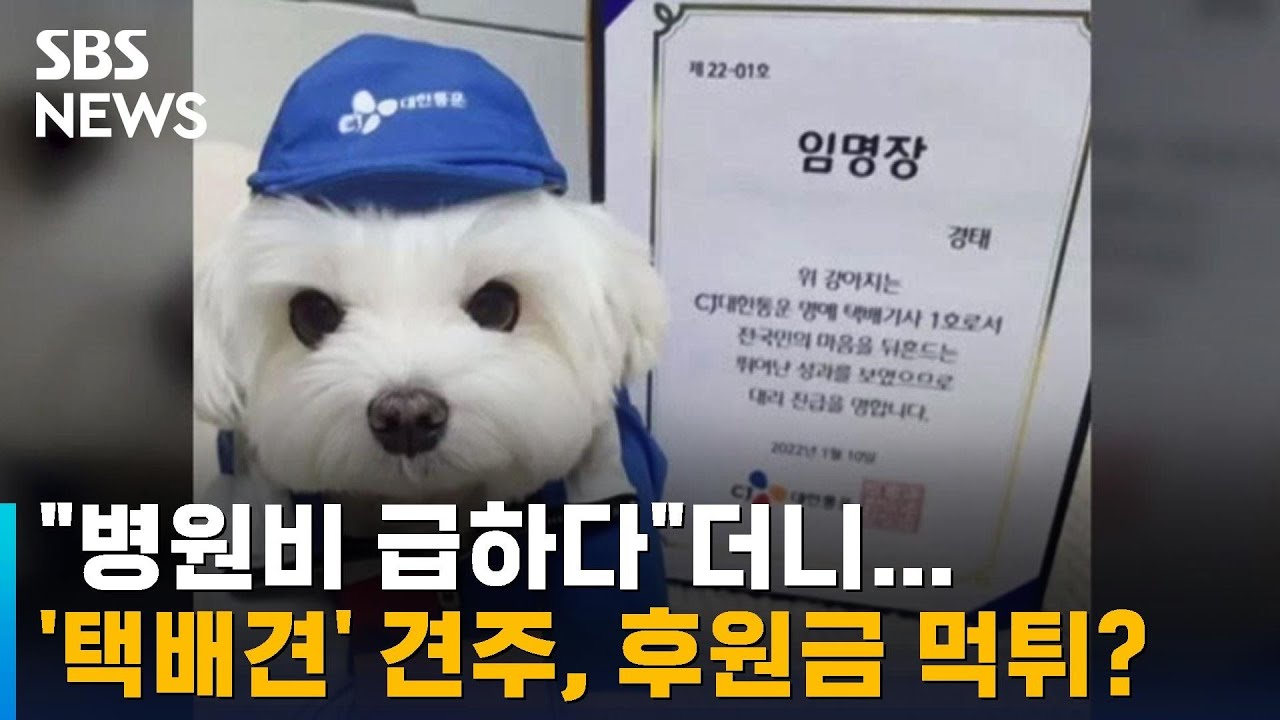 강아지 택배 무고 사건 후원금 횡령 의혹 - 나무위키