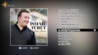 Maziyi Boşuyorum - İsmail Türüt Resimi