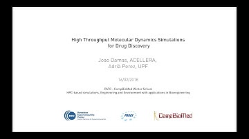 High Throughput Molecular Dynamics Simulations for Drug Discovery