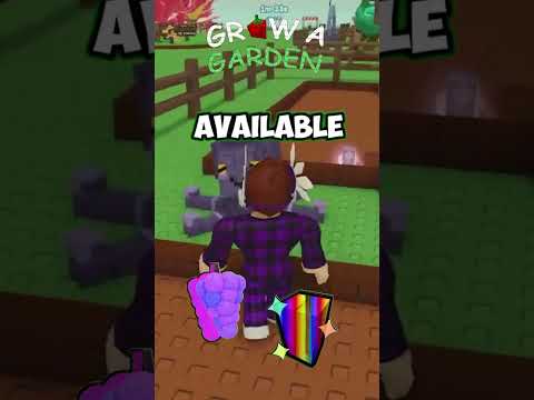 Top Summer Update
