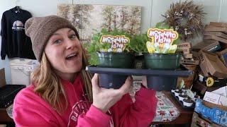 Making a Mosquito Repellent Patio Pot : Flower Hill Farm by Flower Hill Farm 12,055 views 3 days ago 8 minutes, 37 seconds