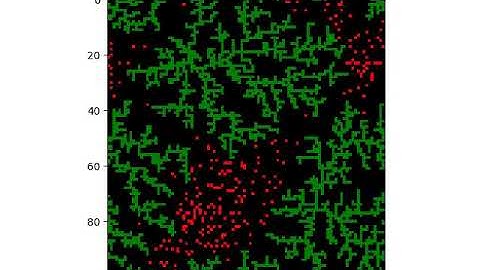 Diffusion-Limited Aggregation 001 Two Seeds