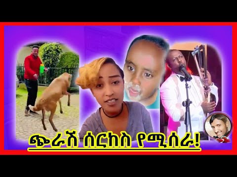 ቪዲዮ: ፓስፖርት ሳይኖር ካሪቢያንን መጎብኘት።